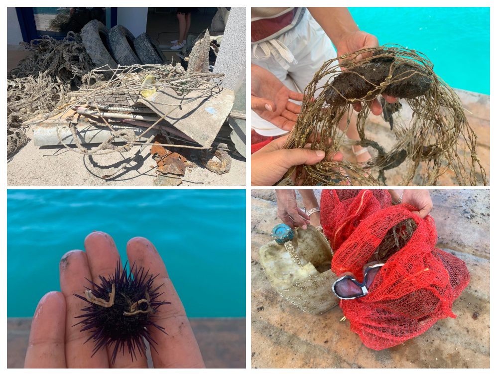 A sample of litter collected by divers at the Mali Ston Bay